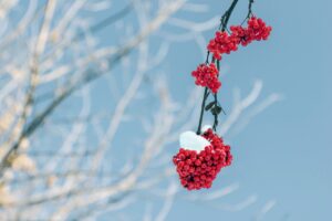 Read more about the article 베네스트클러스터원부발역모델하우스, 꼭 가봐야 할 명소